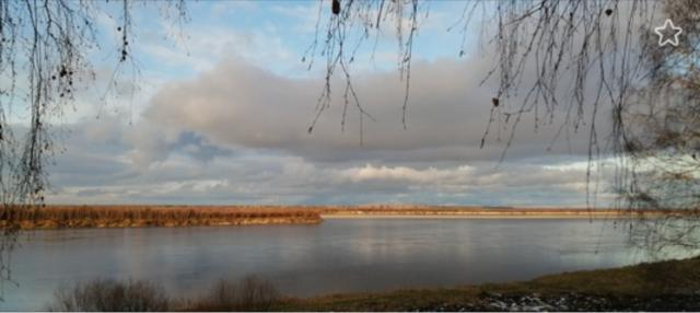 Красноборские поэты