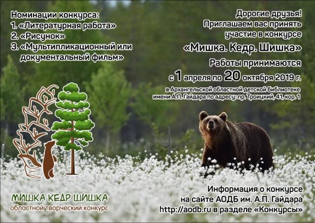 Мишка. Кедр. Шишка