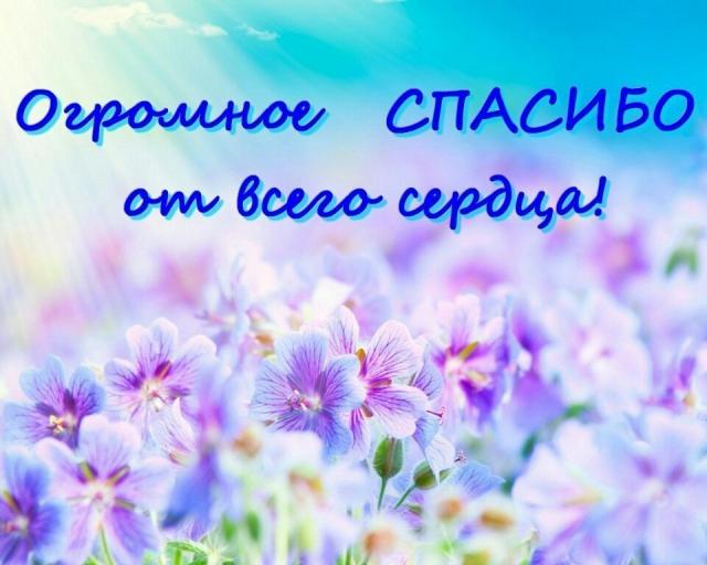 Подарок читателя