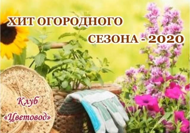 Хит огородного сезона