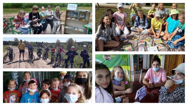 Лето в библиотеке