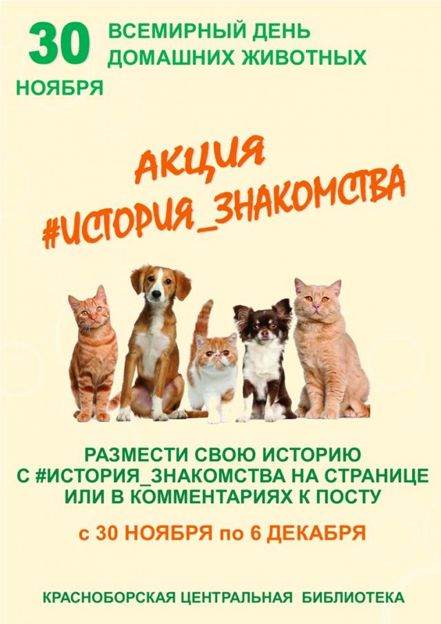ИСТОРИЯ ЗНАКОМСТВА